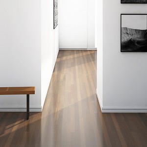 Brazilian Chestnut
